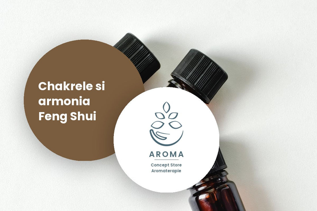 Echilibru Energetic: Conectarea Chakrelor cu Armonia Feng Shui