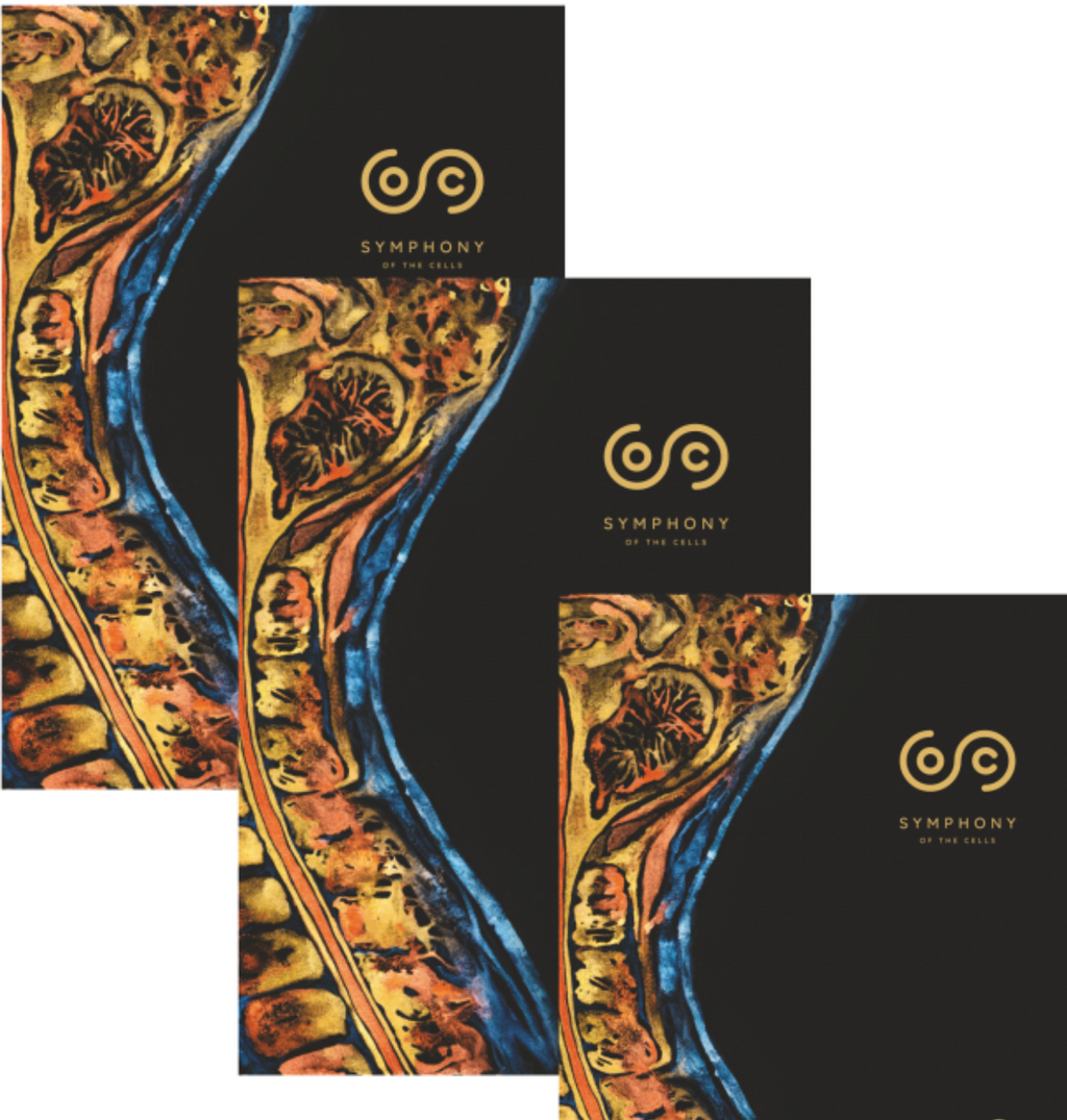 Simfonia celulelor, Symphony of the Cells de Boyd Truman