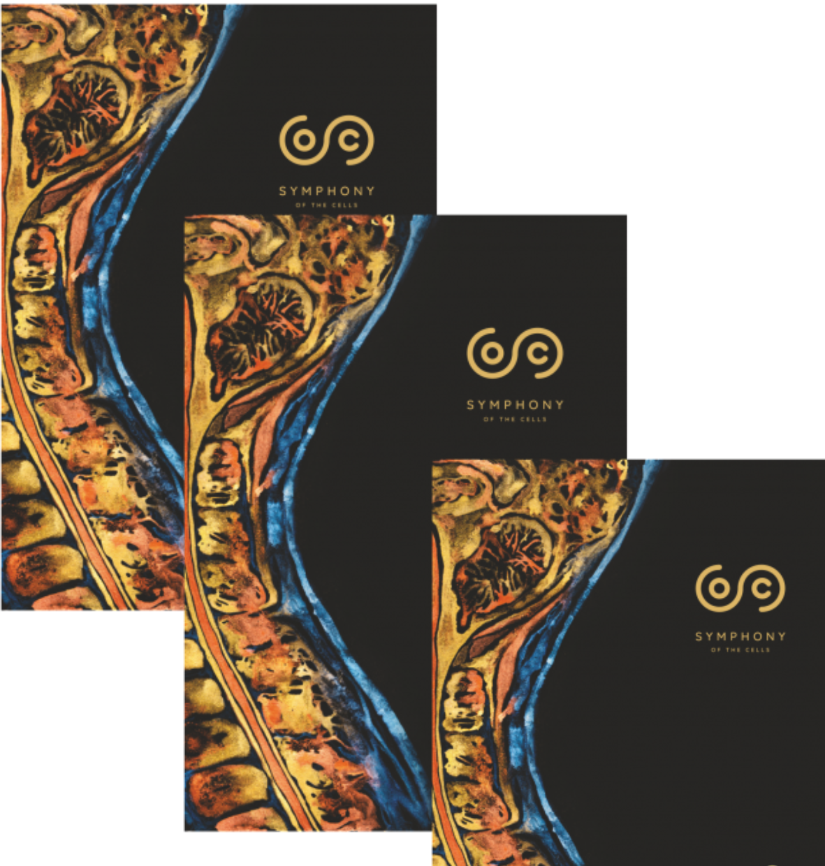 Simfonia celulelor, Symphony of the Cells de Boyd Truman