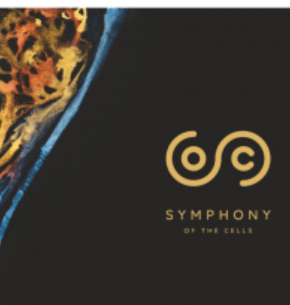 Simfonia celulelor, Symphony of the Cells de Boyd Truman