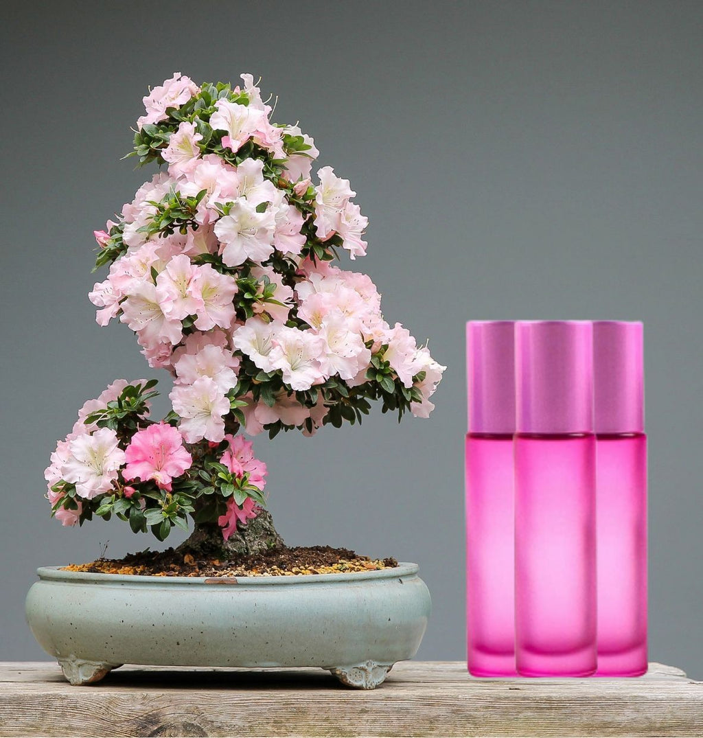 Recipient roz roll-on 10 ml