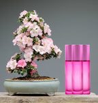 Recipient roz roll-on 10 ml