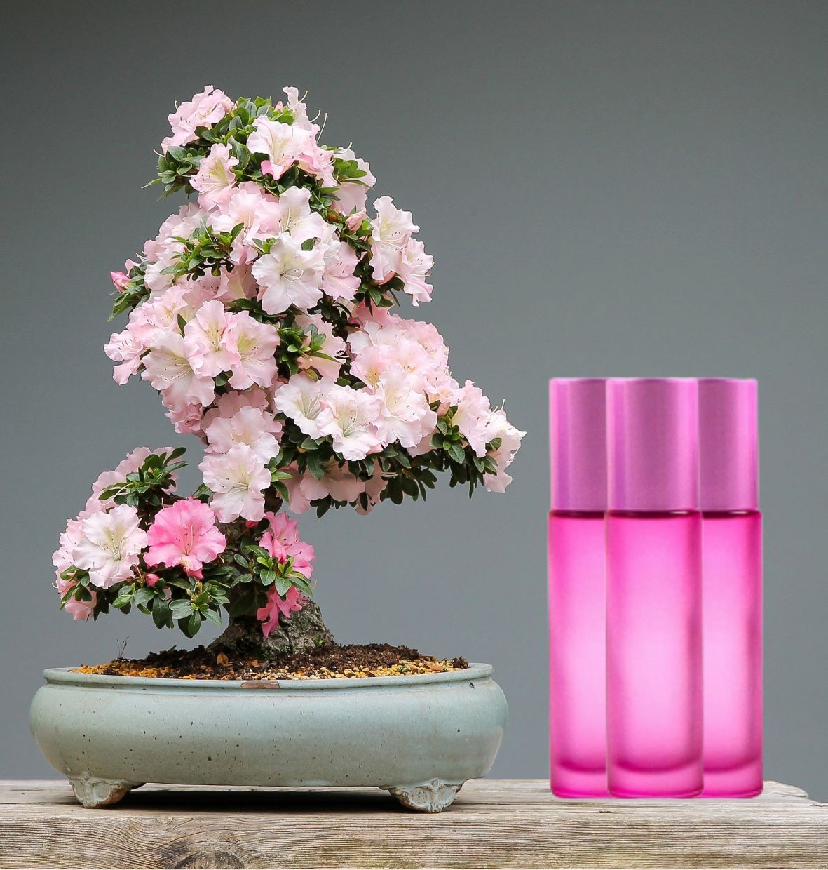 Recipient roz roll-on 10 ml