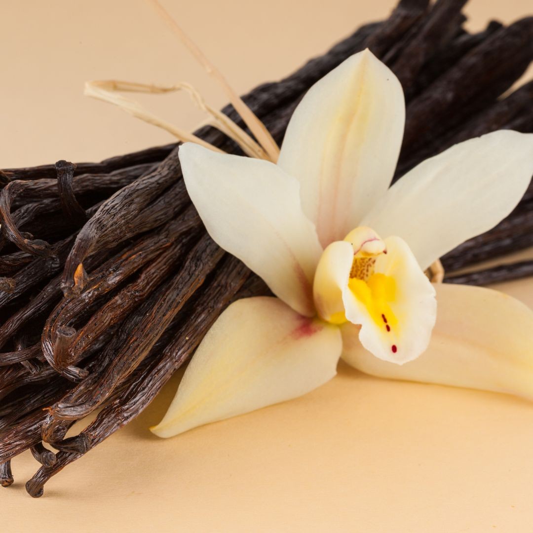 Difuzor camera cu esenta de vanilie