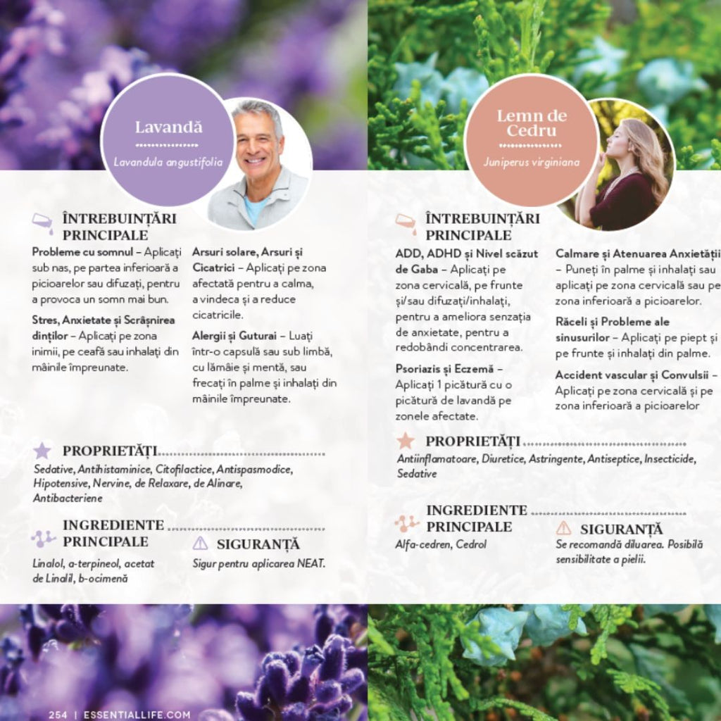 Uleiurile esențiale în pași simpli - lb.română, editura Total Wellness Publishing