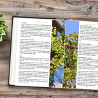 Uleiuri esențiale integrale  Ghid practic, Tudor Ilie