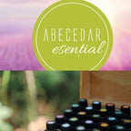 Abecedar esential - dostore