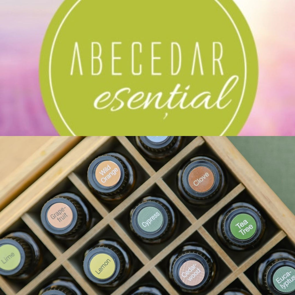 Abecedar esential - dostore