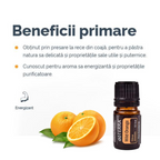 Ulei esențial de Portocală Sălbatică 5 ml doTERRA