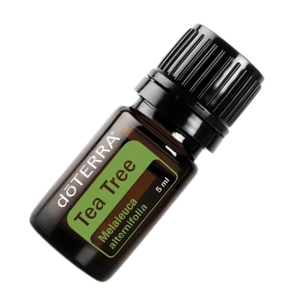 Ulei esential Tea Tree/ MELALEUCA 5 ml doTERRA