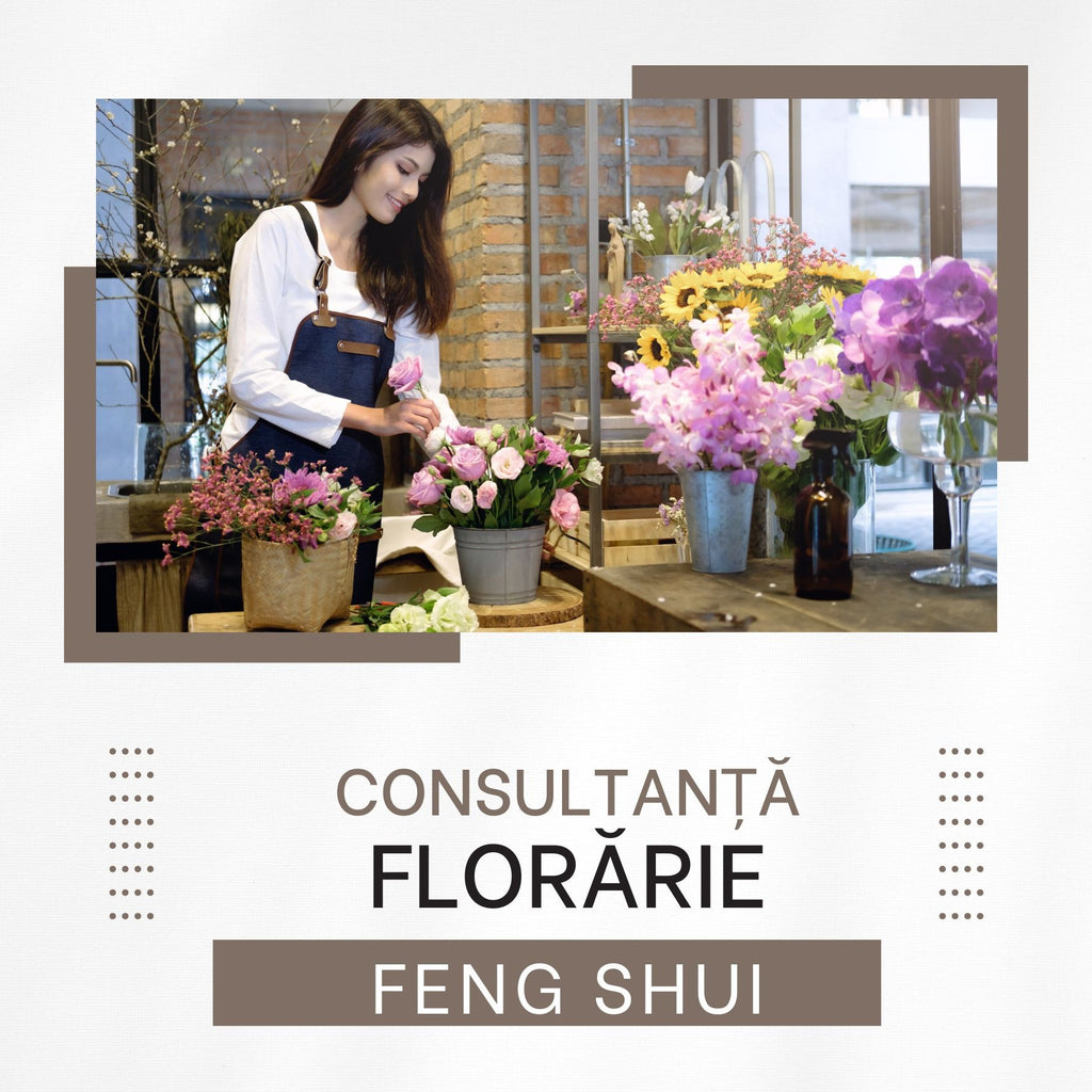 Feng Shui Analiza Florarie