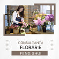 Feng Shui Analiza Florarie