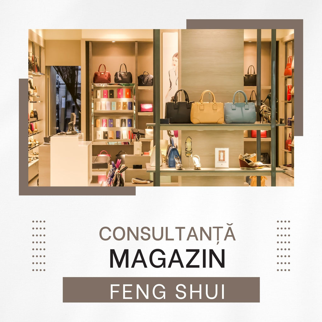 Feng Shui Analiza Magazin