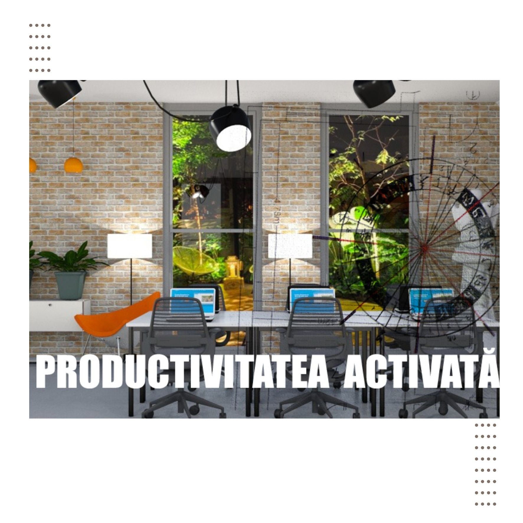 Feng Shui Analiza Office-uri