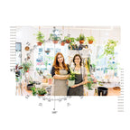 Feng Shui Analiza Florarie