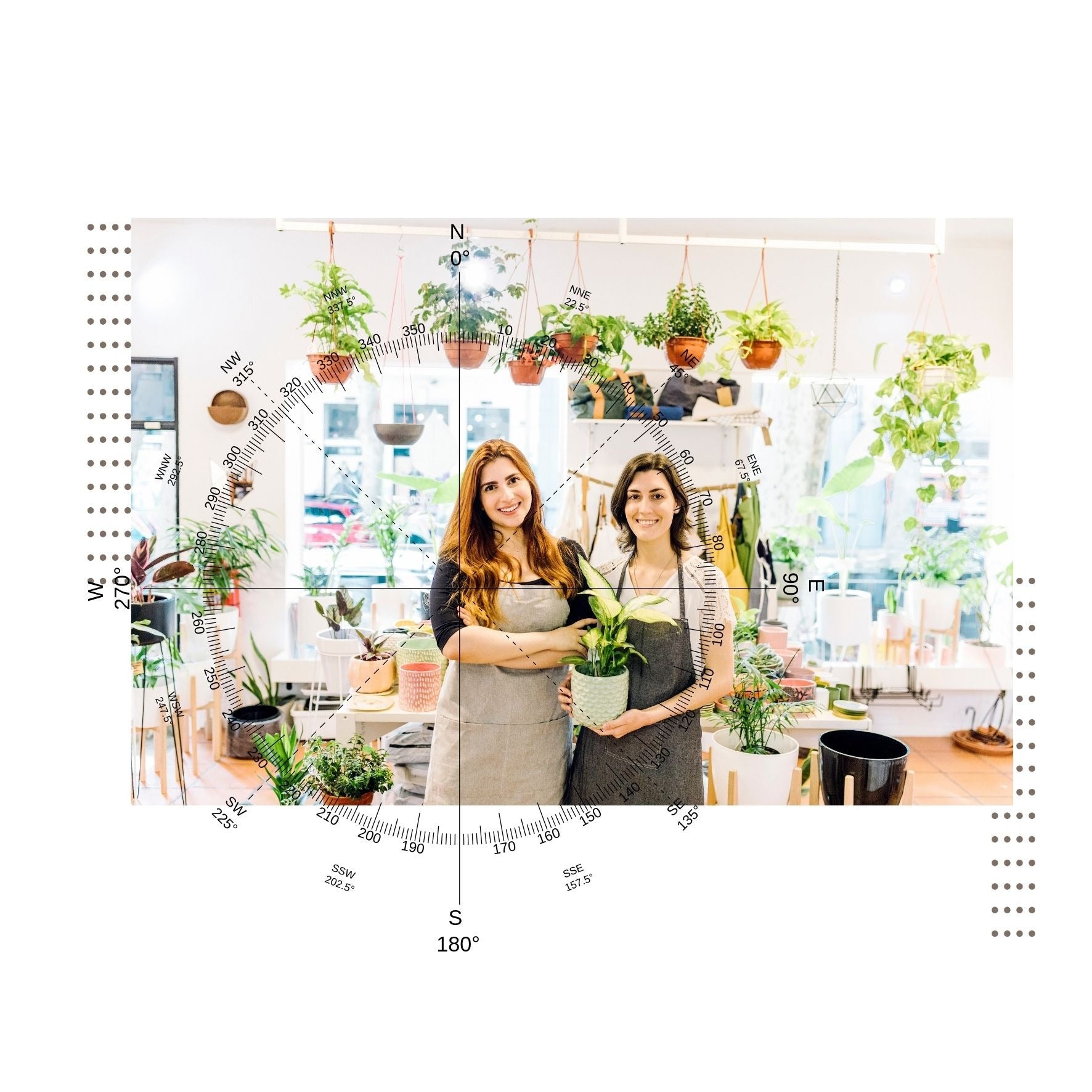 Feng Shui Analiza Florarie