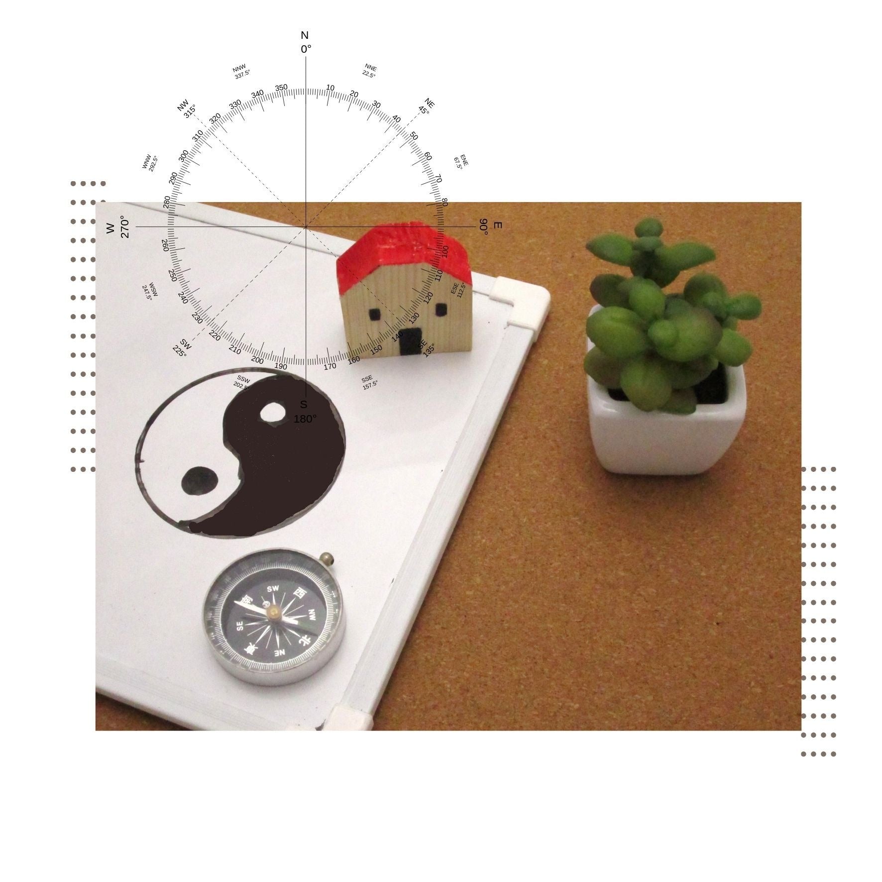 Feng Shui Analiza Gradinita