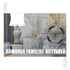 Feng Shui Analiza Apartament 4 camere