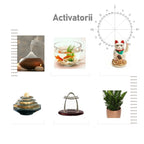 Feng Shui Analiza Apartament 4 camere