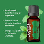 Ulei Esențial de Mentă, Mentha Arvensis, 15ml