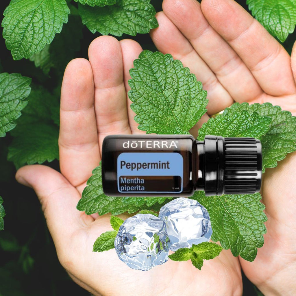 Ulei esențial de Mentă 5 ml doTERRA