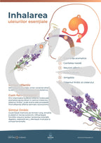 Inhalarea uleiurilor esentiale - Poster Printabil