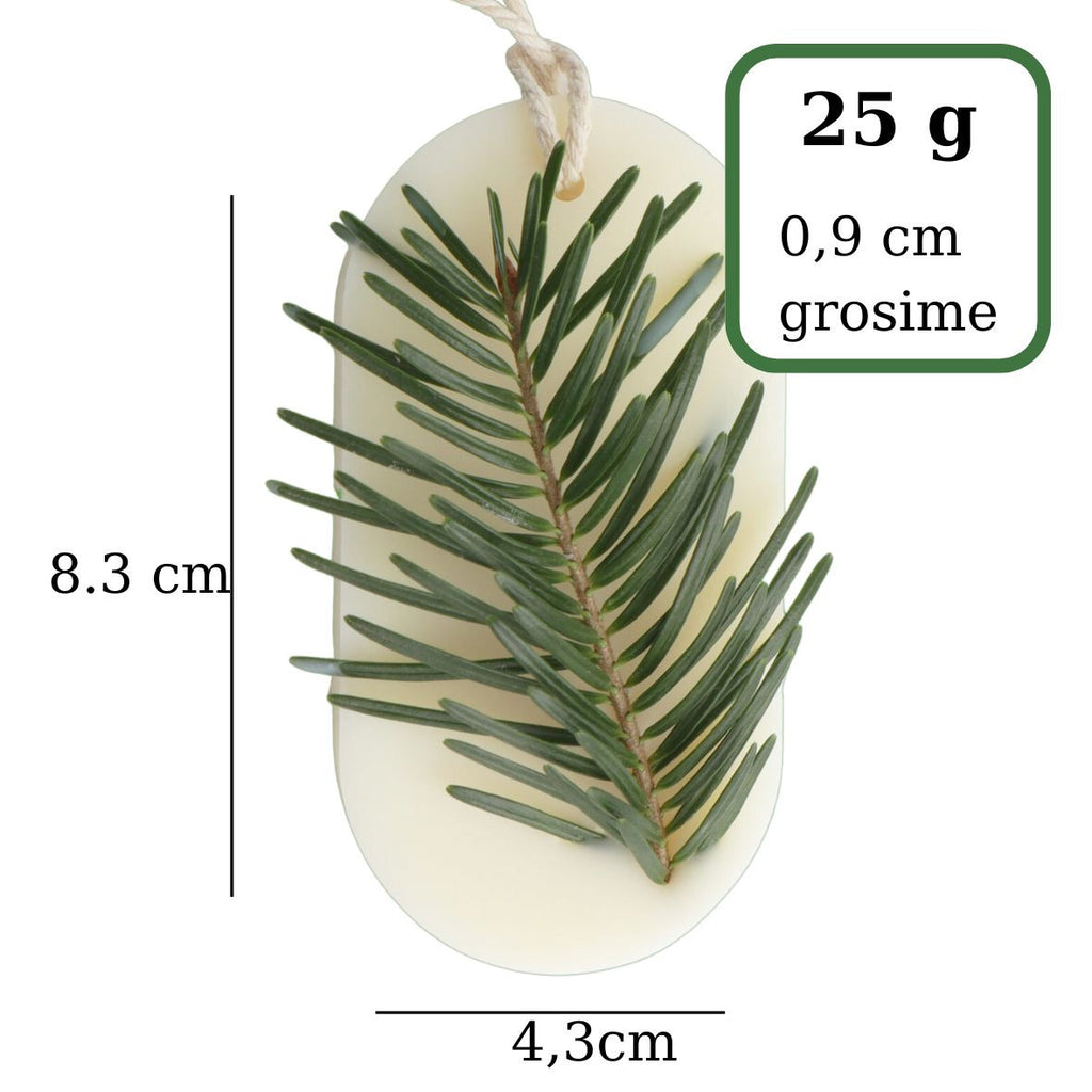 Odorizant Dulap FOREST WALK, Candelina – Brad, Pin, Cedru, 25g