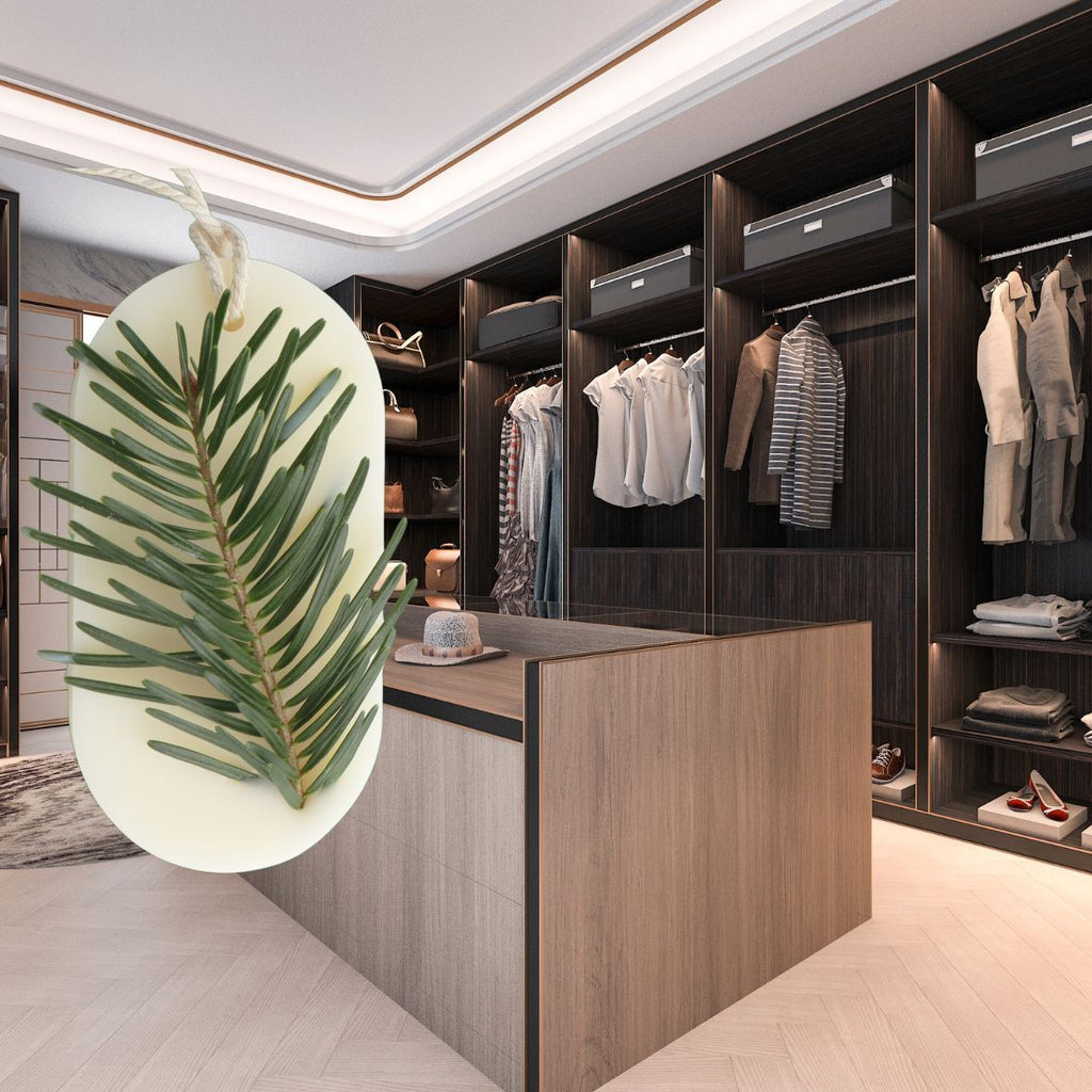 Odorizant Dulap FOREST WALK, Candelina – Brad, Pin, Cedru, 25g