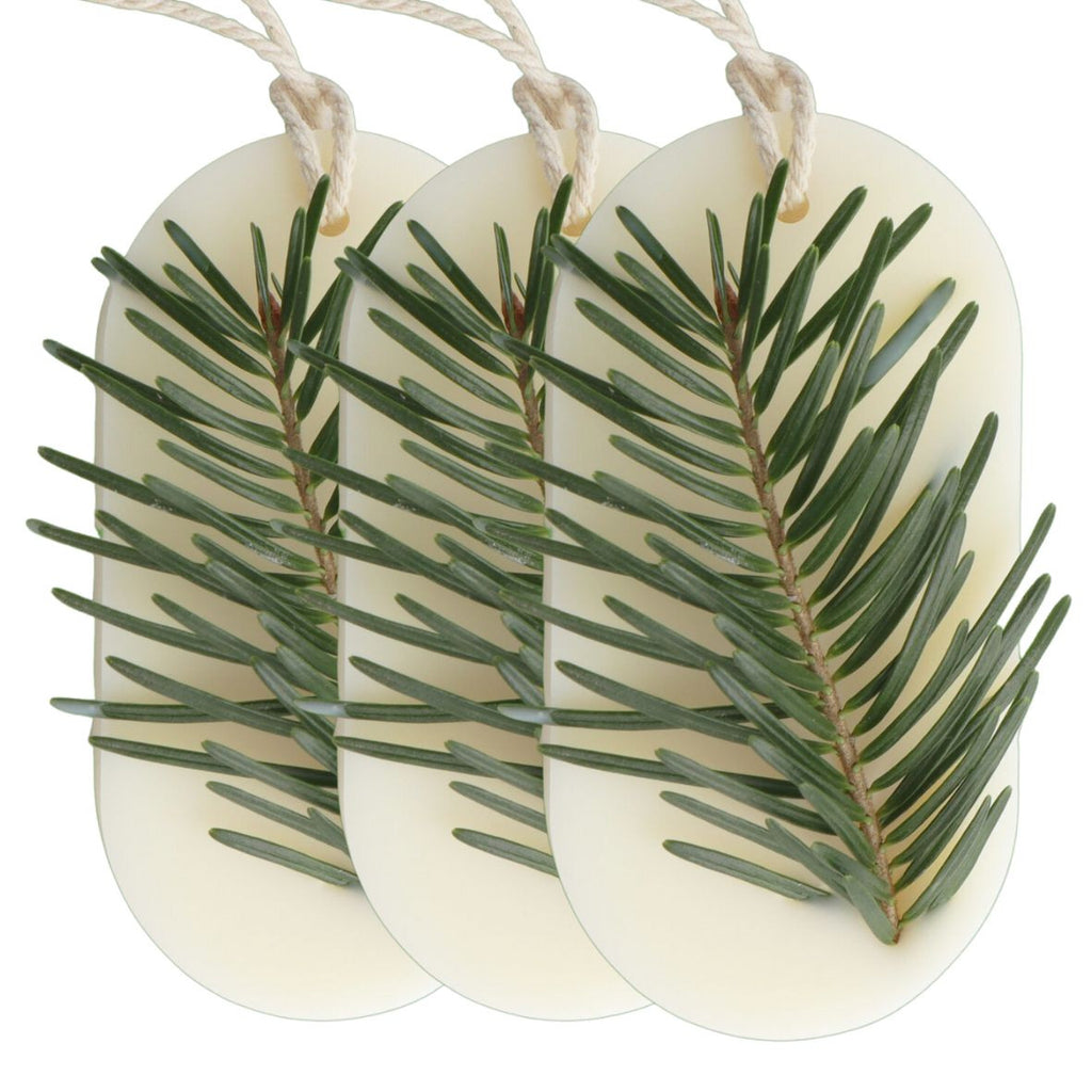 Odorizant Dulap FOREST WALK, Candelina – Brad, Pin, Cedru, 25g