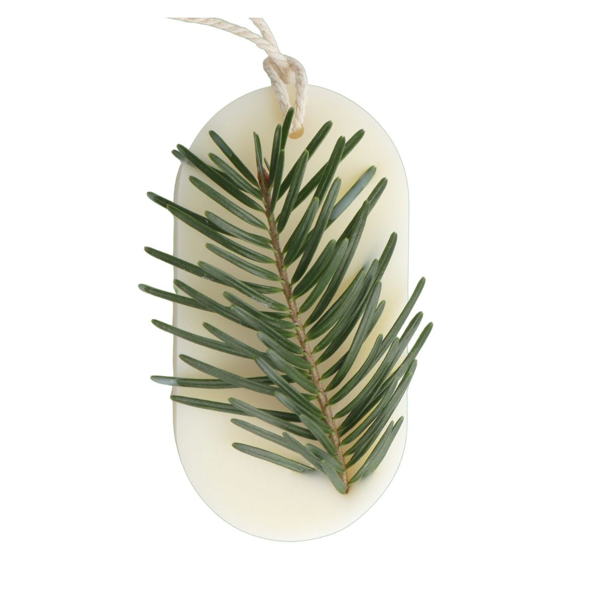 Odorizant Dulap FOREST WALK, Candelina – Brad, Pin, Cedru, 25g