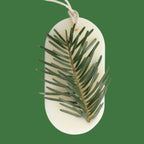 Odorizant Dulap FOREST WALK, Candelina – Brad, Pin, Cedru, 25g