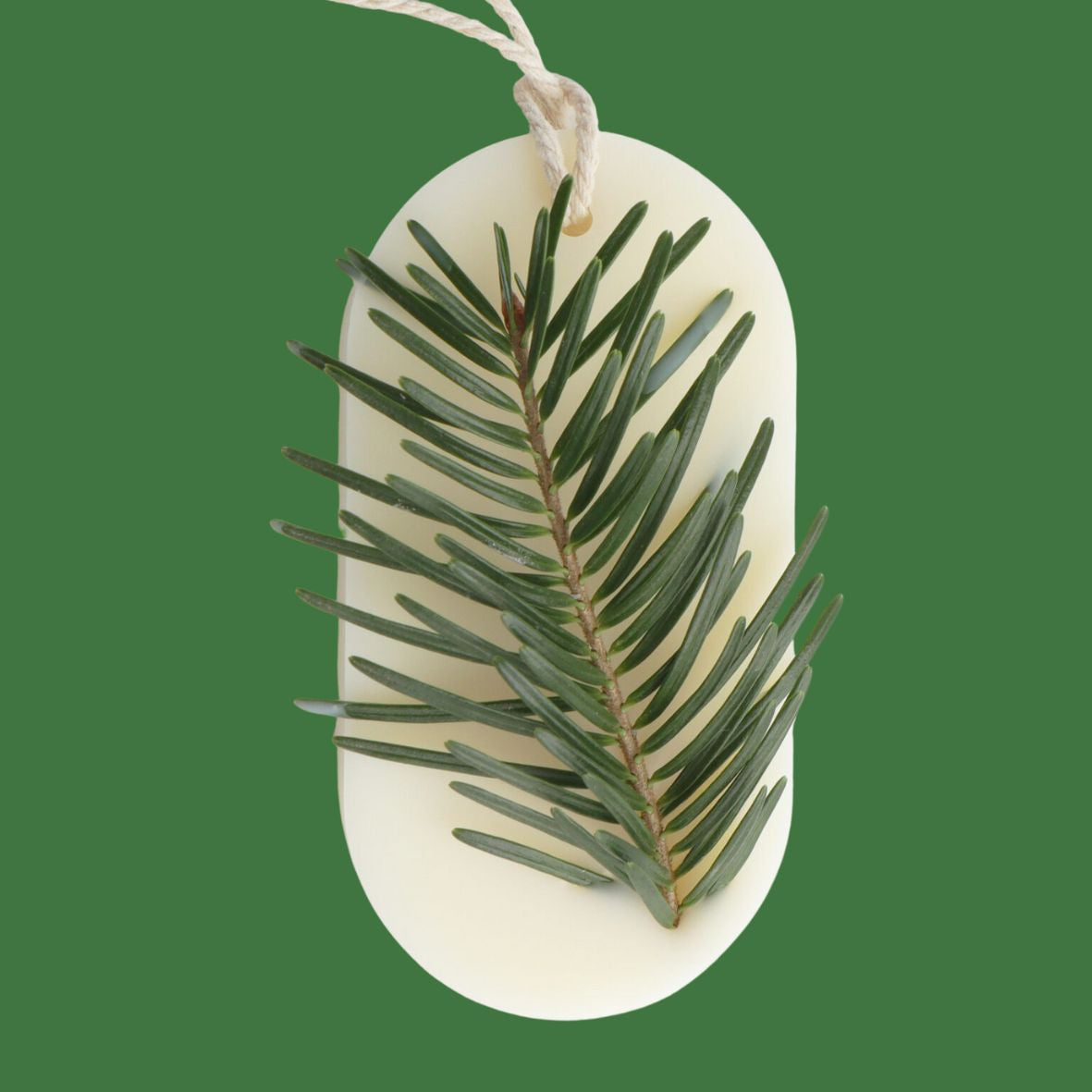 Odorizant Dulap FOREST WALK, Candelina – Brad, Pin, Cedru, 25g