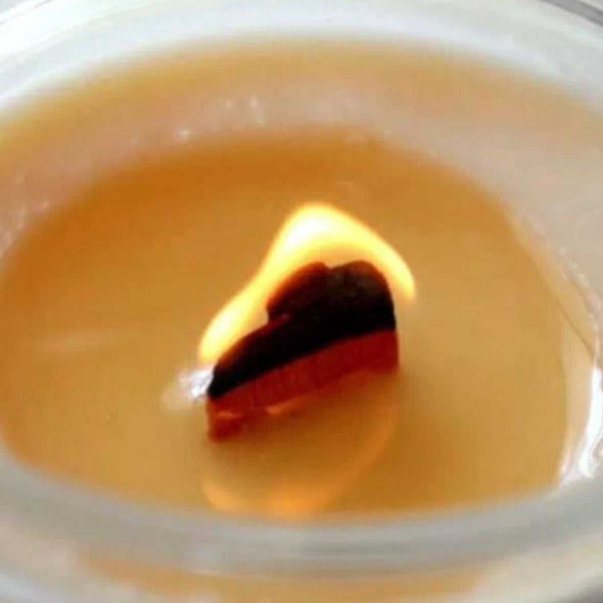 Lumânare parfumată JOY – Vanilie, Alune, Castane, Candelina