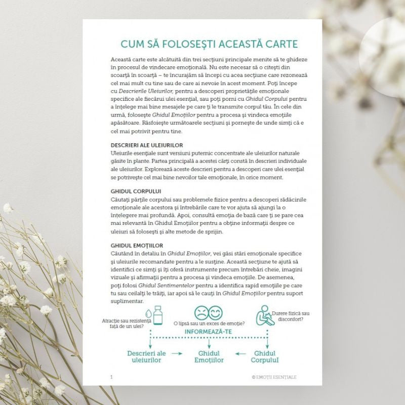 Emotii Esentiale editia 13, lb.română, ghidul tău pentru procesarea emoțiilor