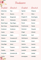 Agenda si ghid pentru uleiuri esentiale cu 6 sticlute