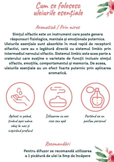 Kitul incepatorului in aromaterapie