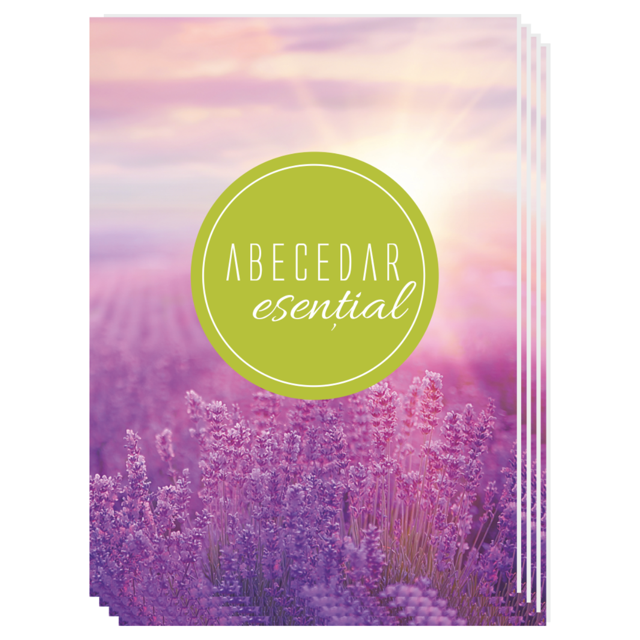 Abecedar esential - dostore