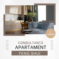 Analiza Feng Shui  3 camere