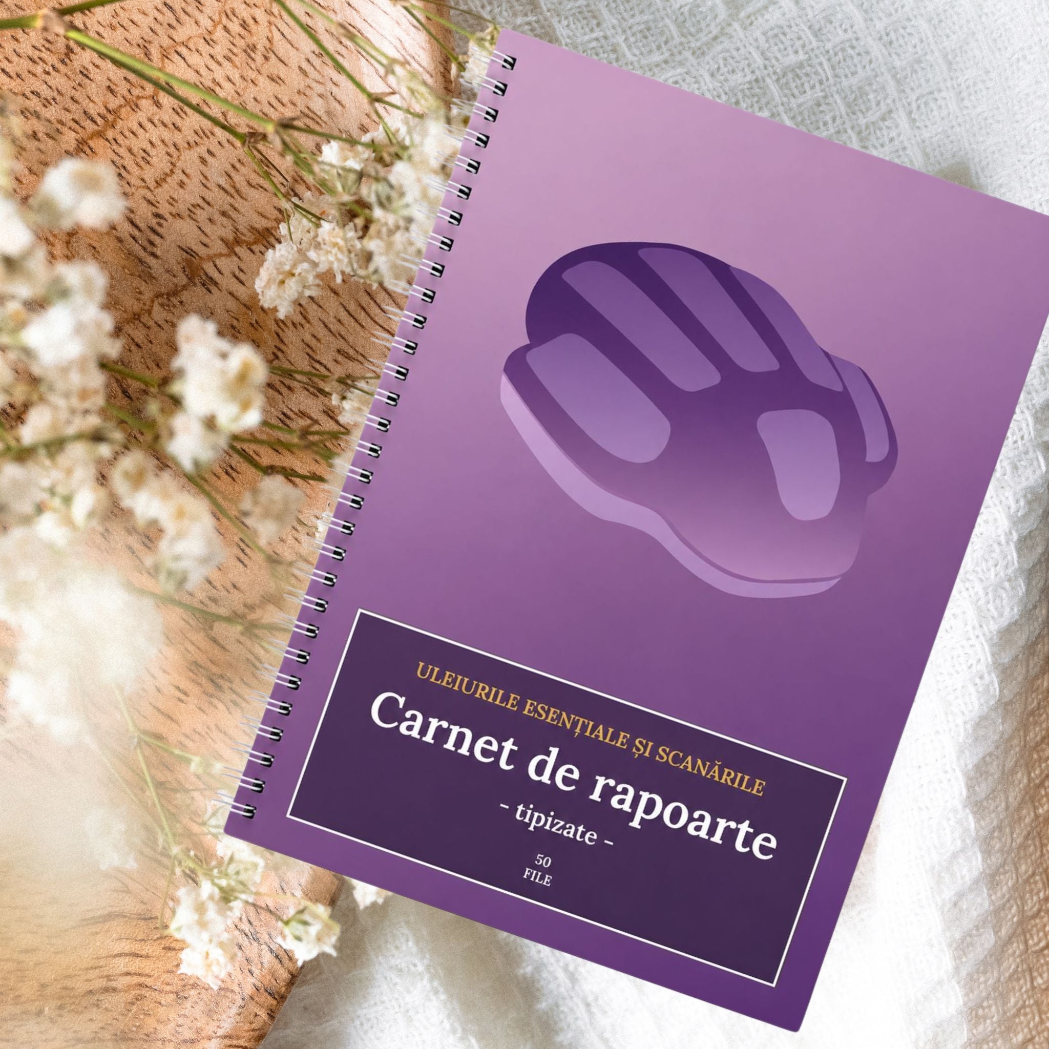 Carnet de rapoarte pentru scanare ZYTO